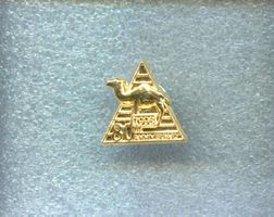 CAMEL