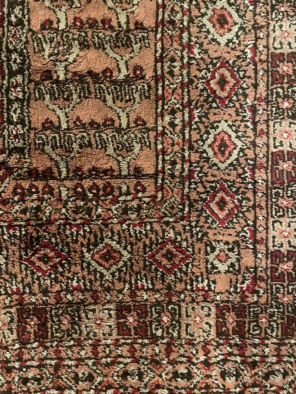 Tappeti: "Orientalischer" Teppich – Usato da Bern venduto da meta_citizen 1
