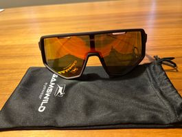 Sportbrille WS4042 Gamswild TR90