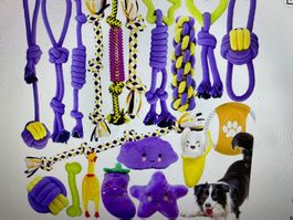 19‑teiliges Hundespielzeug‑Set — Seil & Quietsch