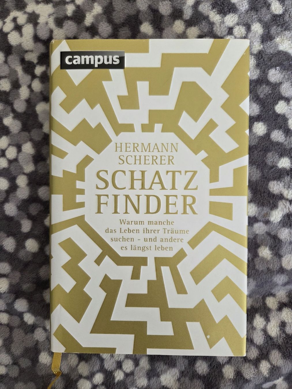 Libri: Schatz Finder - Hermann Scherer – Usato da Bazenheid venduto da Mermaid07