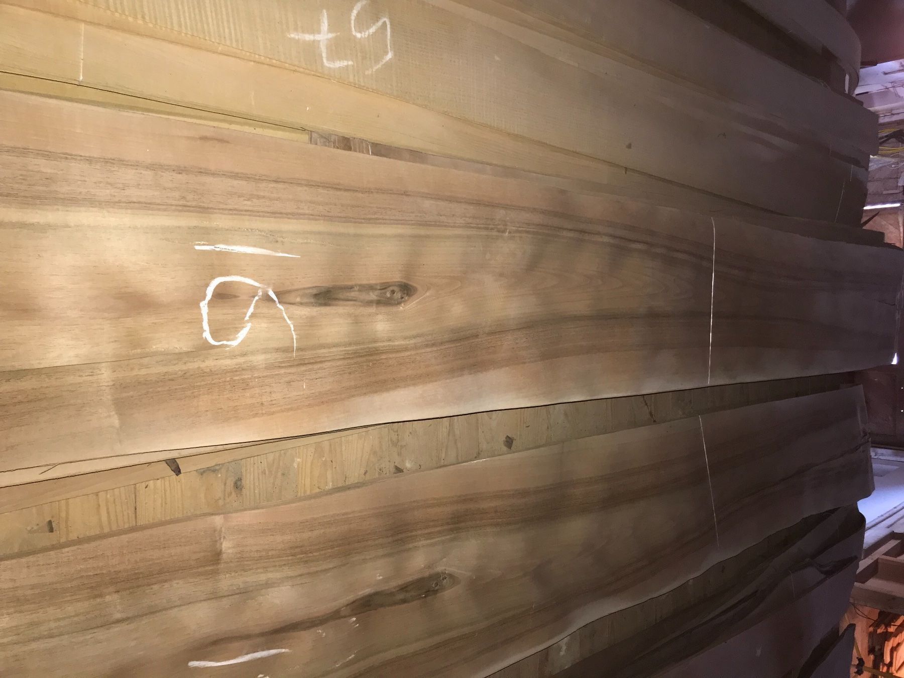 Articoli in legno: Nussbaum Furnier Bund 16 – Nuovo (secondo la descrizione) da Waldkirch venduto da son_wlp2 1