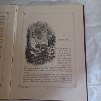 Livres: Buch derHochwald Leibzig1882 – D'occasion à Abtwil SG par luupsy 3