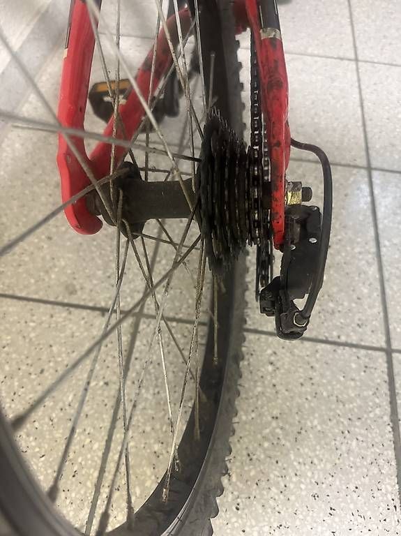 Biciclette: Rockrider ST900 20" – Usato da Wallisellen venduto da Aclaudio82 2