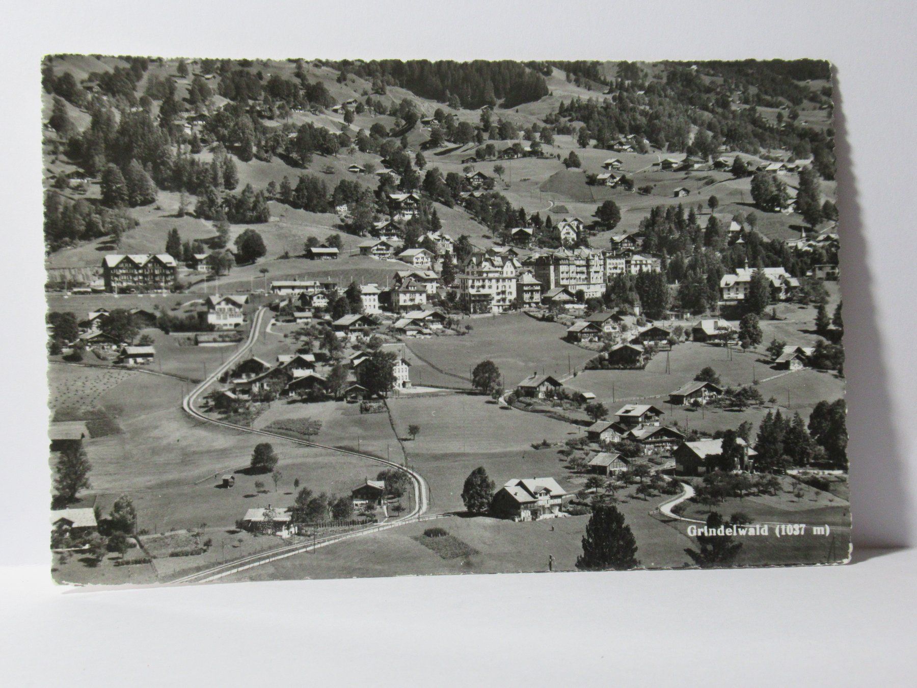 Ansichtskarten: Grindelwald – Neu (gemäss Beschreibung) aus Grenchen von Bluemchen1900