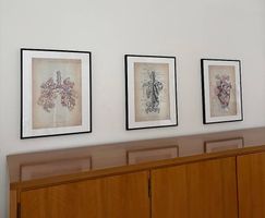 3 gerahmte Vintage-Anatomie-Bilder von Cursus Anatomicus