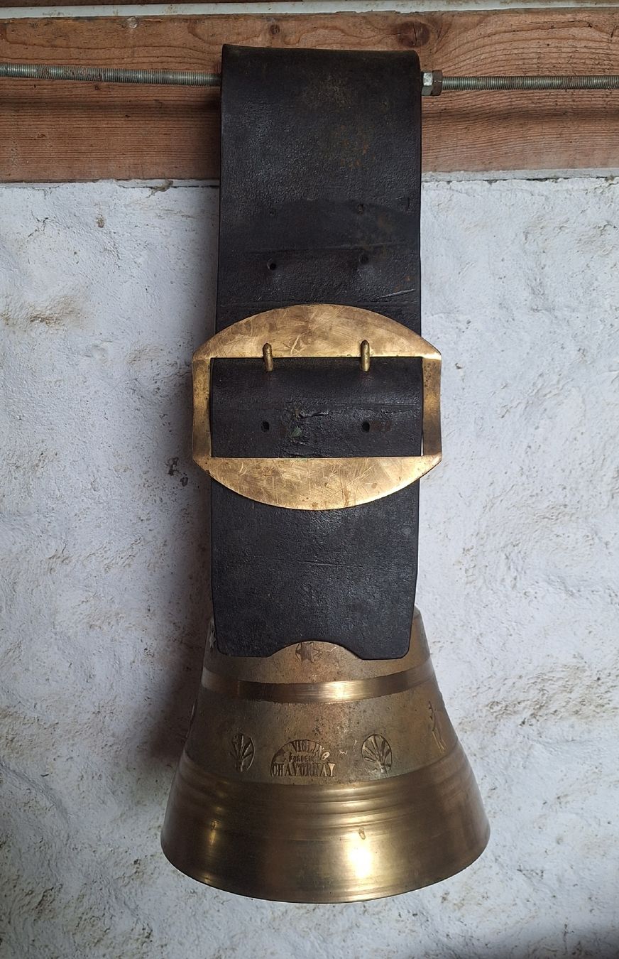 Campanacci mucche: cloche viglino chavornay – Nuovo (secondo la descrizione) da Riaz venduto da Dingo32
