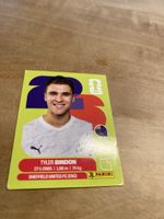 Panini NZL 7