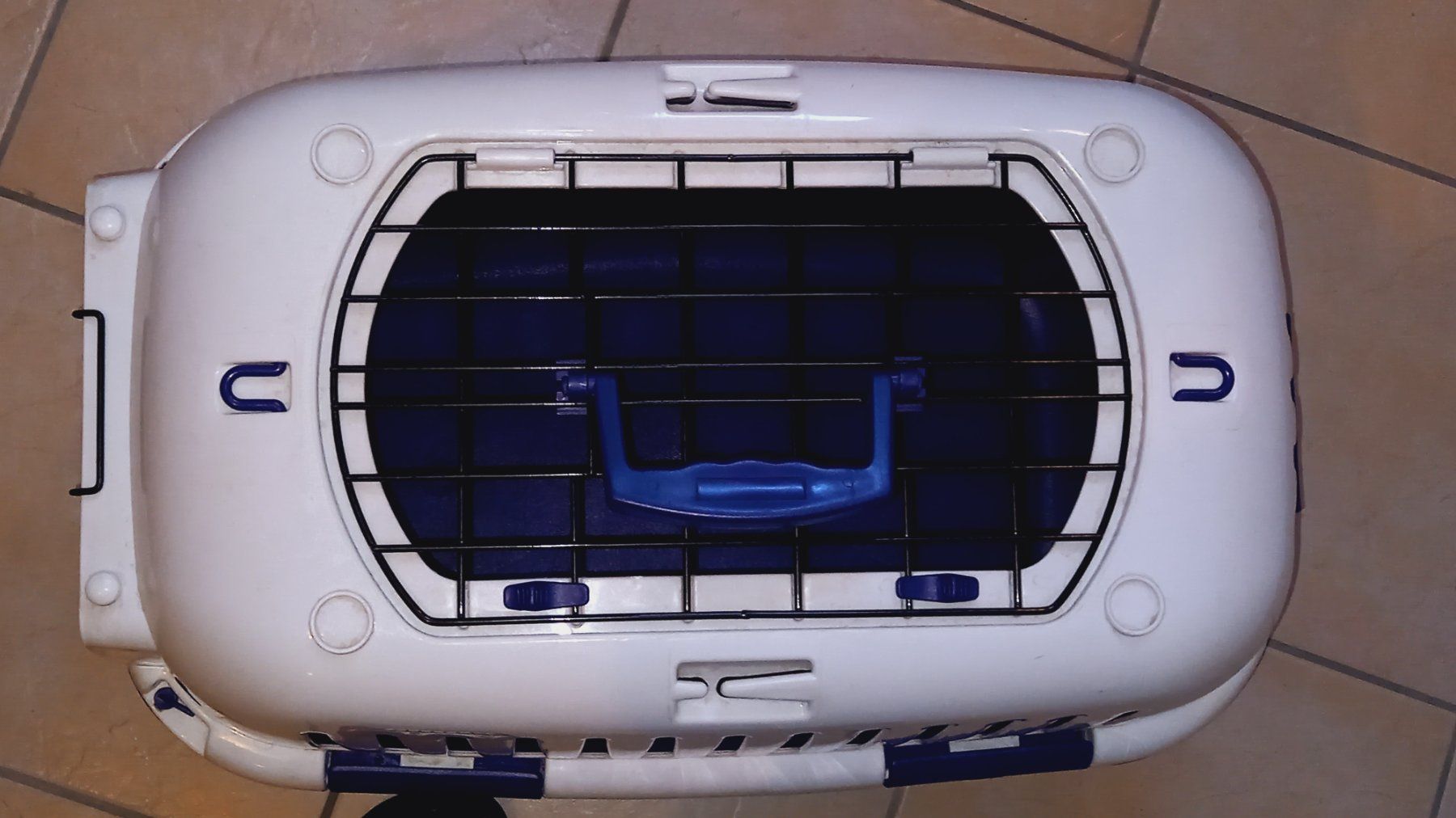 Käfige, Transport & Sicherheit: Transportbox Europet Bernina – Gebraucht aus Brünisried von san_74_bu 1