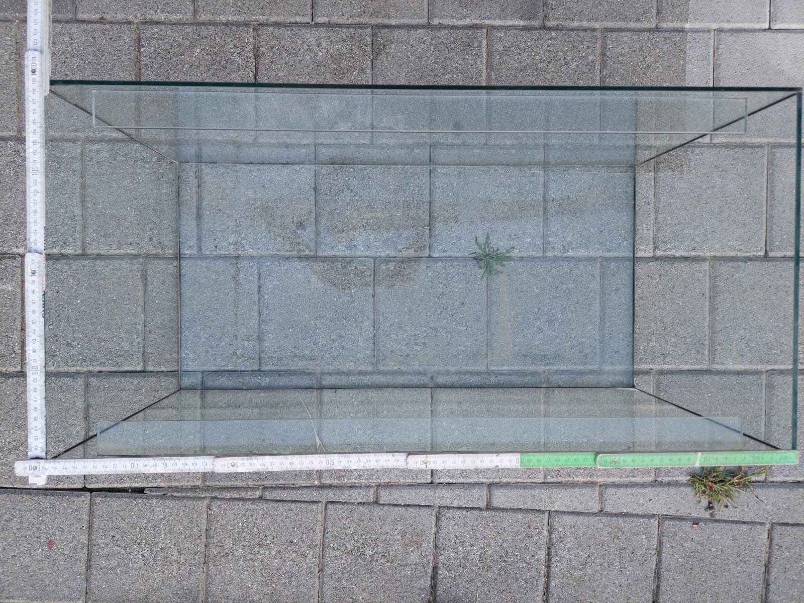 Terrario: Terrarium Glas – Usato da Kottwil venduto da Mmvzphs 1