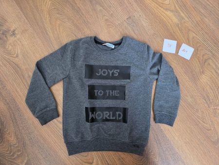 dünner Pullover grau Gr. 98/104
