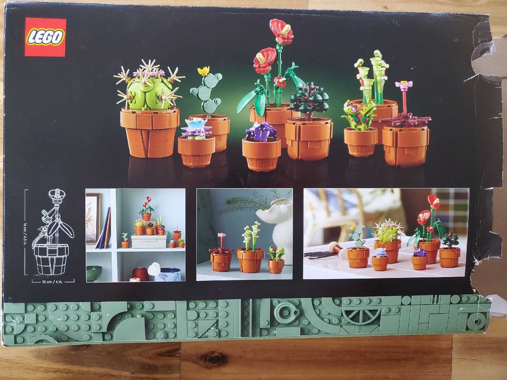 Lego Spielzeuge: LEGO Botanical Collection Tiny Plants – Neu (gemäss Beschreibung) aus Schwarzsee von dergli01 3