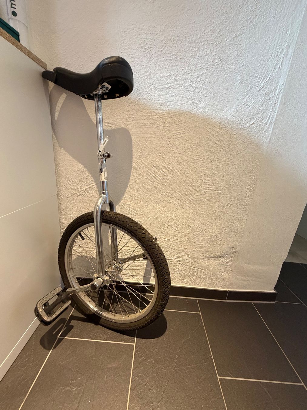 Biciclette: Einrad gebrauchter Zustand – Usato da Gockhausen venduto da AnneT07 7