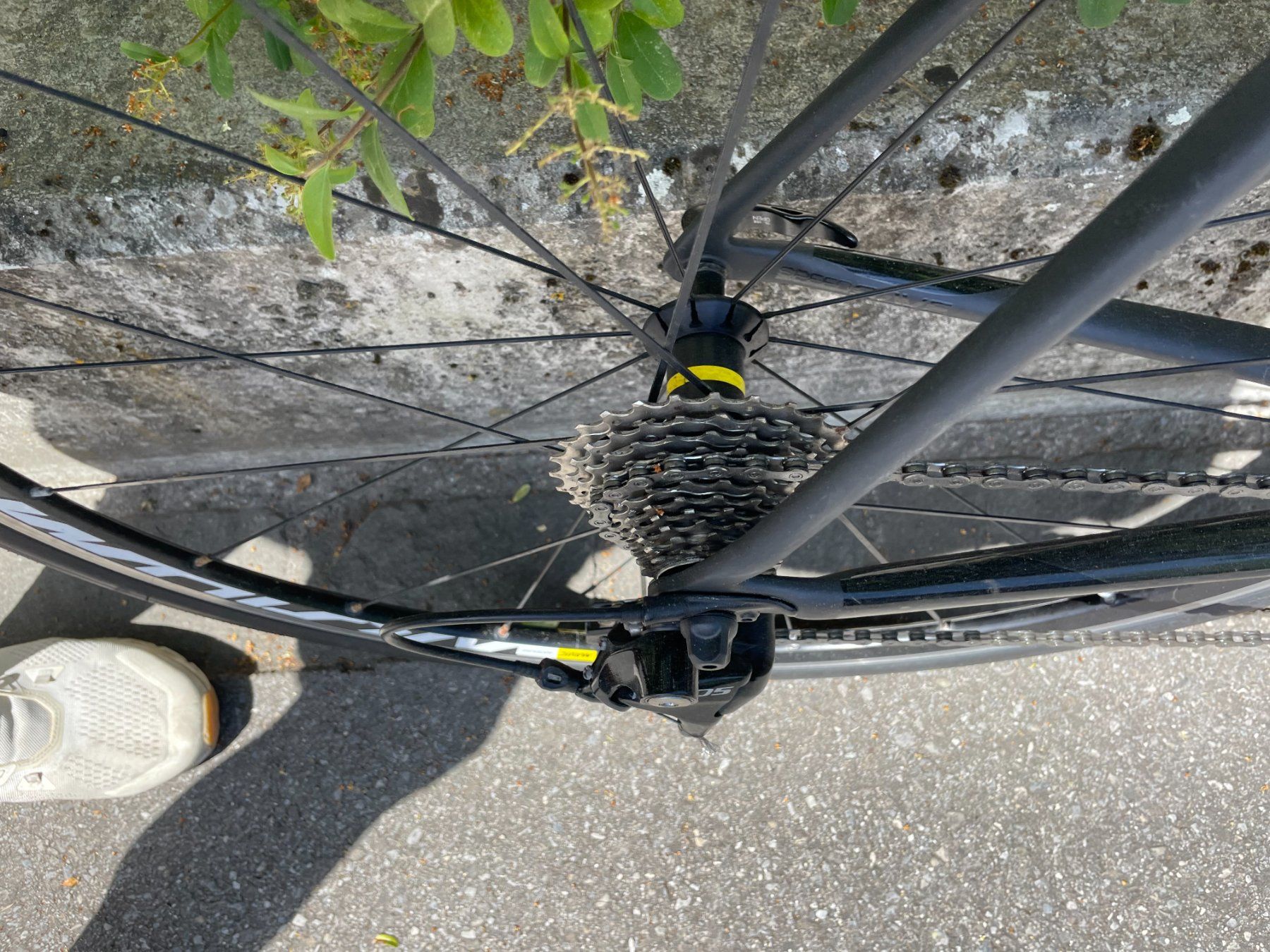 Cannondale Vélos: Canondale Rennvelo – D'occasion à Bern par lis_8byv 2