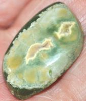 Cabochon L-1093 – Rhyolith Regenwald Jaspis – 28x17x7mm