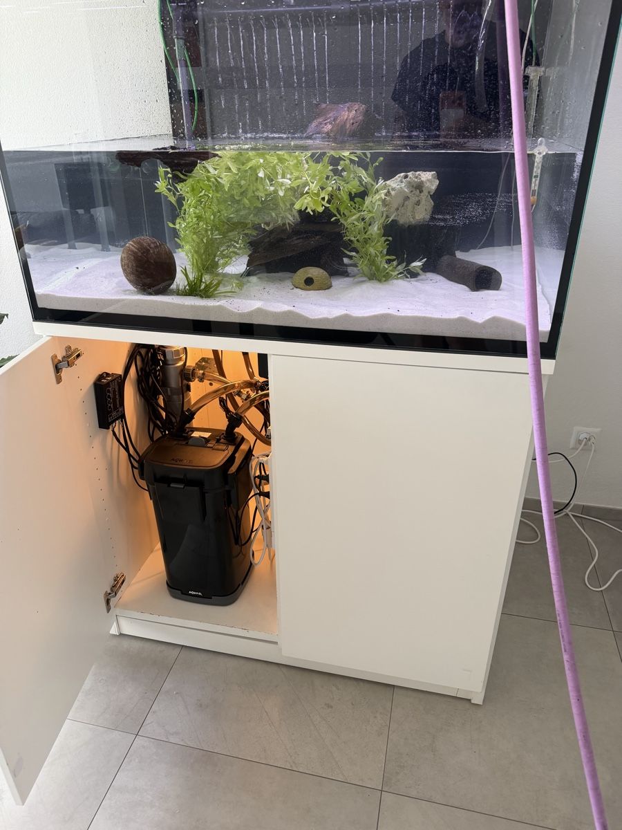 Terrario: Terrarium 105x80x70 mit LED – Usato da Balzers venduto da vwl_7zcs 1