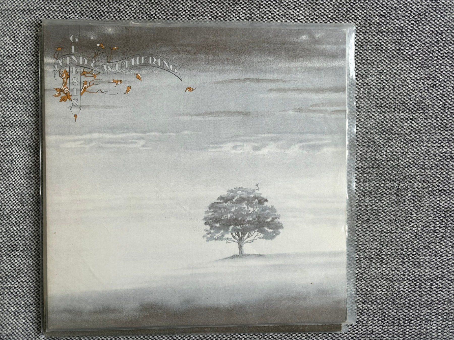 Dischi in vinile: Genesis - Wind & Wuthering - FR – Usato da Zofingen venduto da Bigron