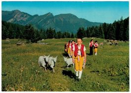 Appenzeller Alpaufzug
