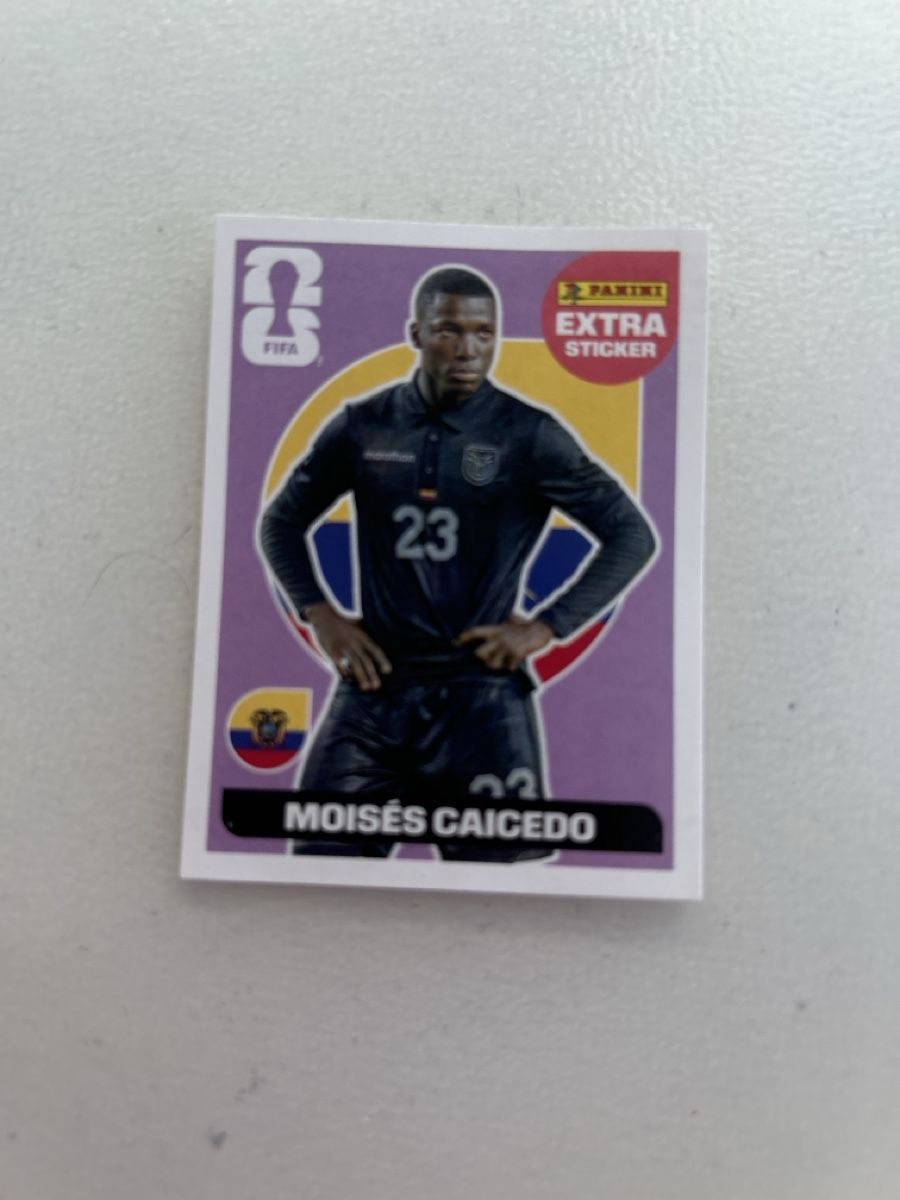 Panini Carte collezionabili: Panini WM 2026 – Nuovo (secondo la descrizione) da Thun venduto da Schantschan