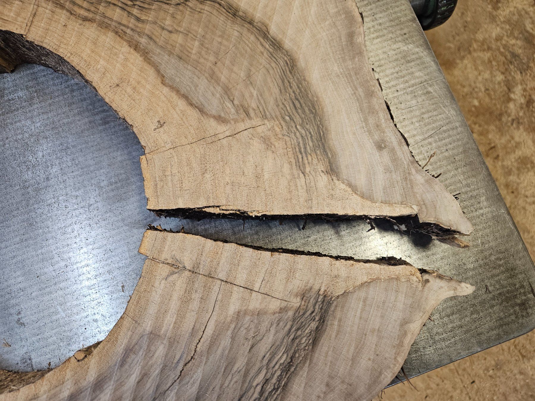 Articoli in legno: Nussbaum Holz Baumscheibe – Nuovo (secondo la descrizione) da Schangnau venduto da egli6.2 8