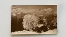 Bei Wengen Lobhörner & Sulegg ok