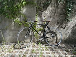 Bombtrack Oxbridge 