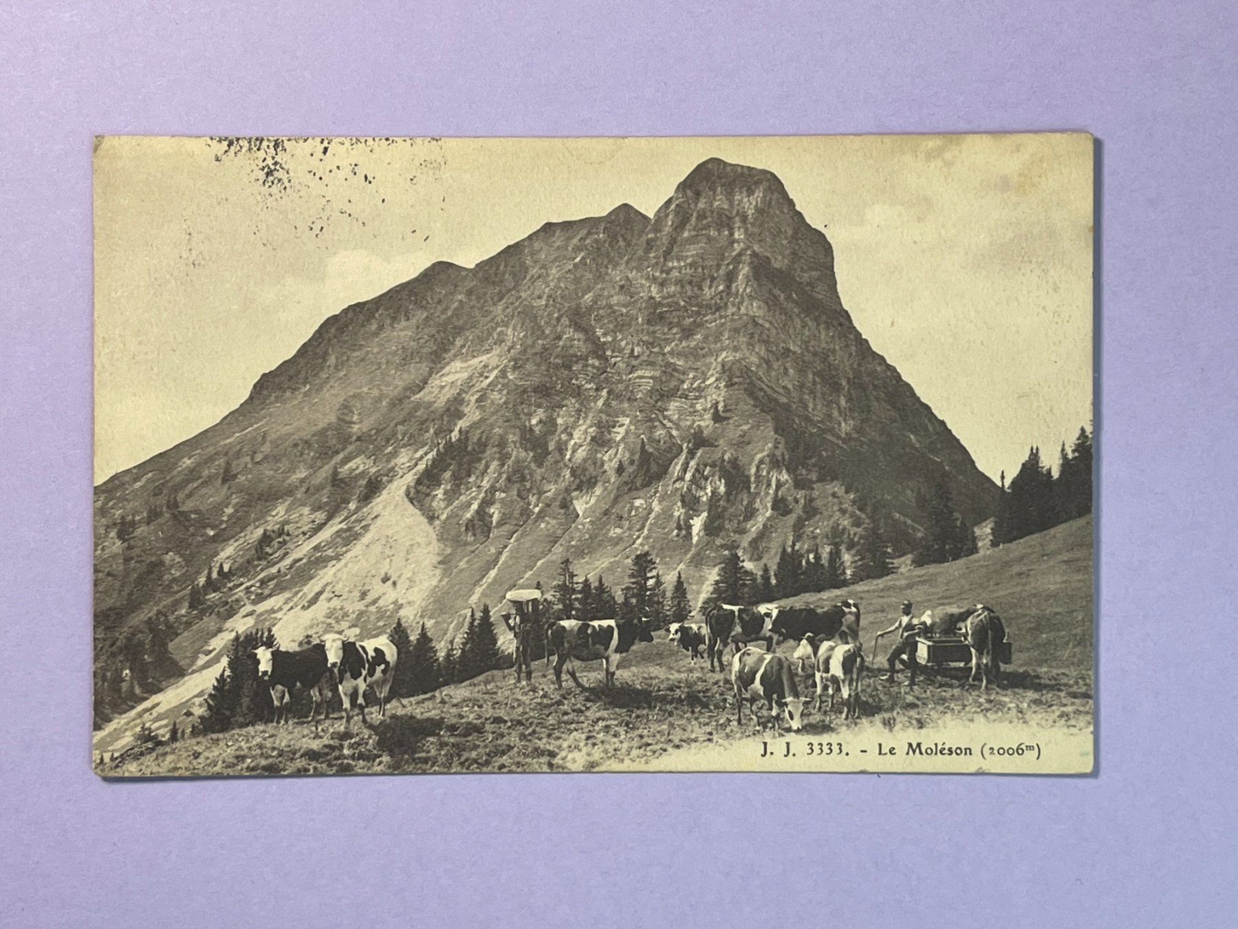 Cartes postales: Le Moléson – D'occasion à Steg VS par _vinci_