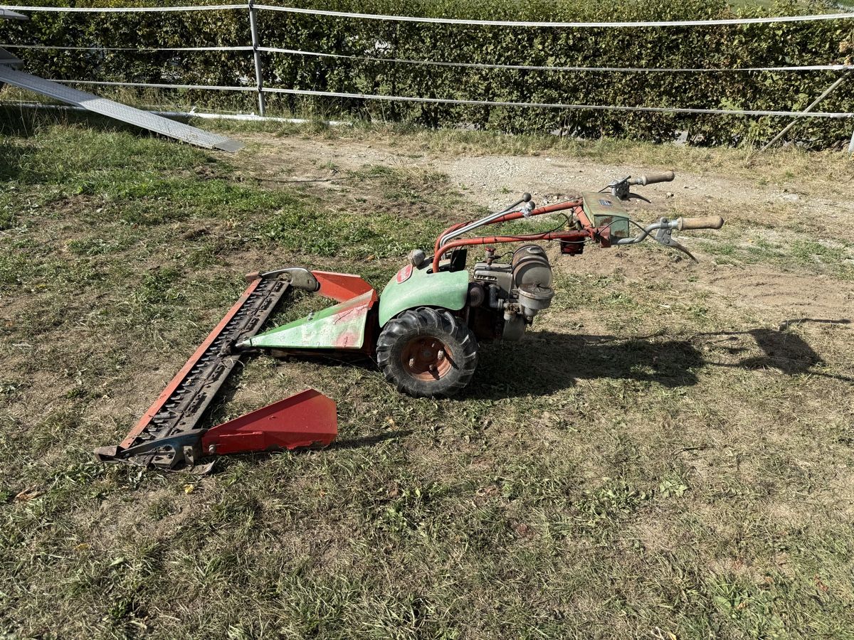 Rapid Tutte le macchine: Rapid REX MAG Balkenmäher – Usato da Thayngen venduto da Maxwell03 1