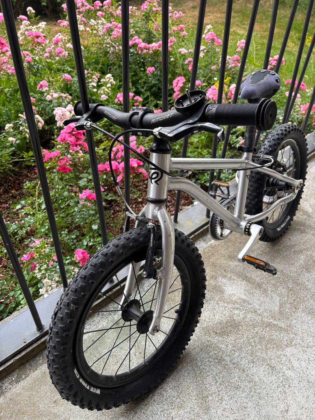 Early Rider Biciclette: Early Rider Belter Trail 2019 (16") – Usato da Solothurn venduto da mor_b7vt 1
