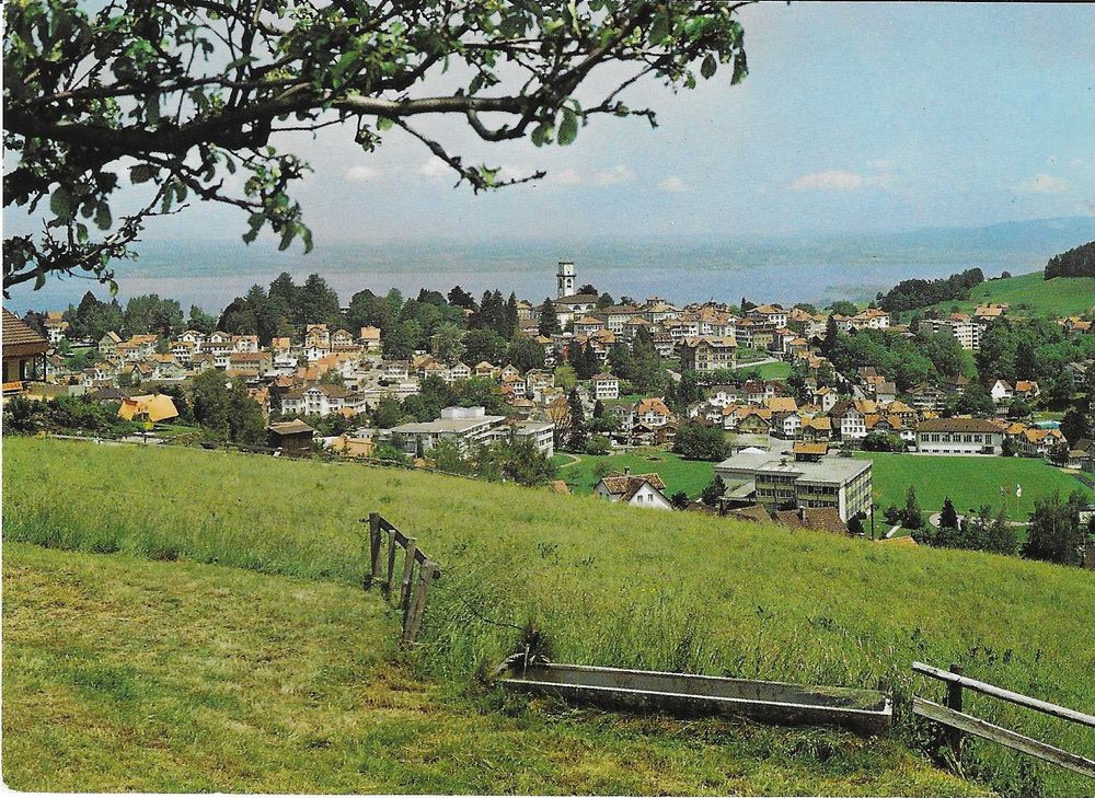 Klimakurort Heiden AR Kaufen auf Ricardo