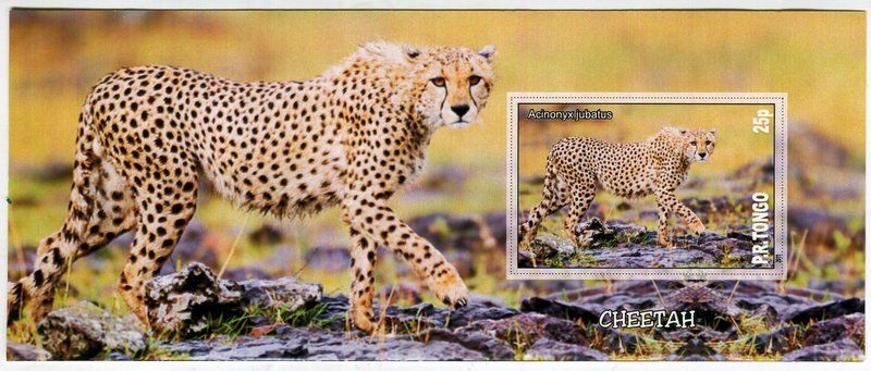 Tous les timbres: Block "Gepard". Tongo – Neuf avec emballage d'origine à Basel par Butsch5