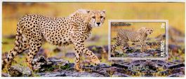 Block "Gepard". Tongo