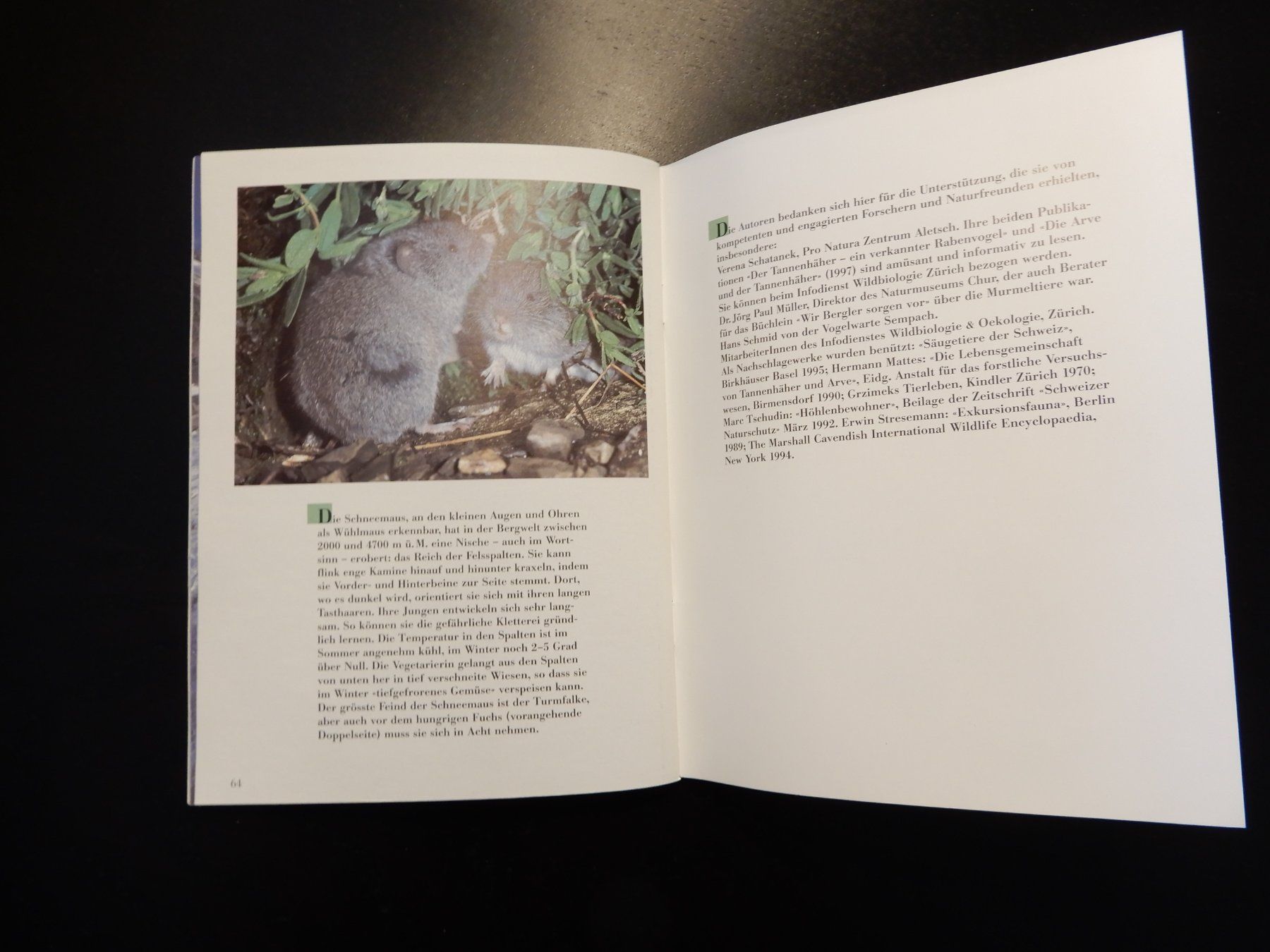 Libri: Wir Bergler sind häuslich - Buch – Usato da Erstfeld venduto da Mario_boe0 8