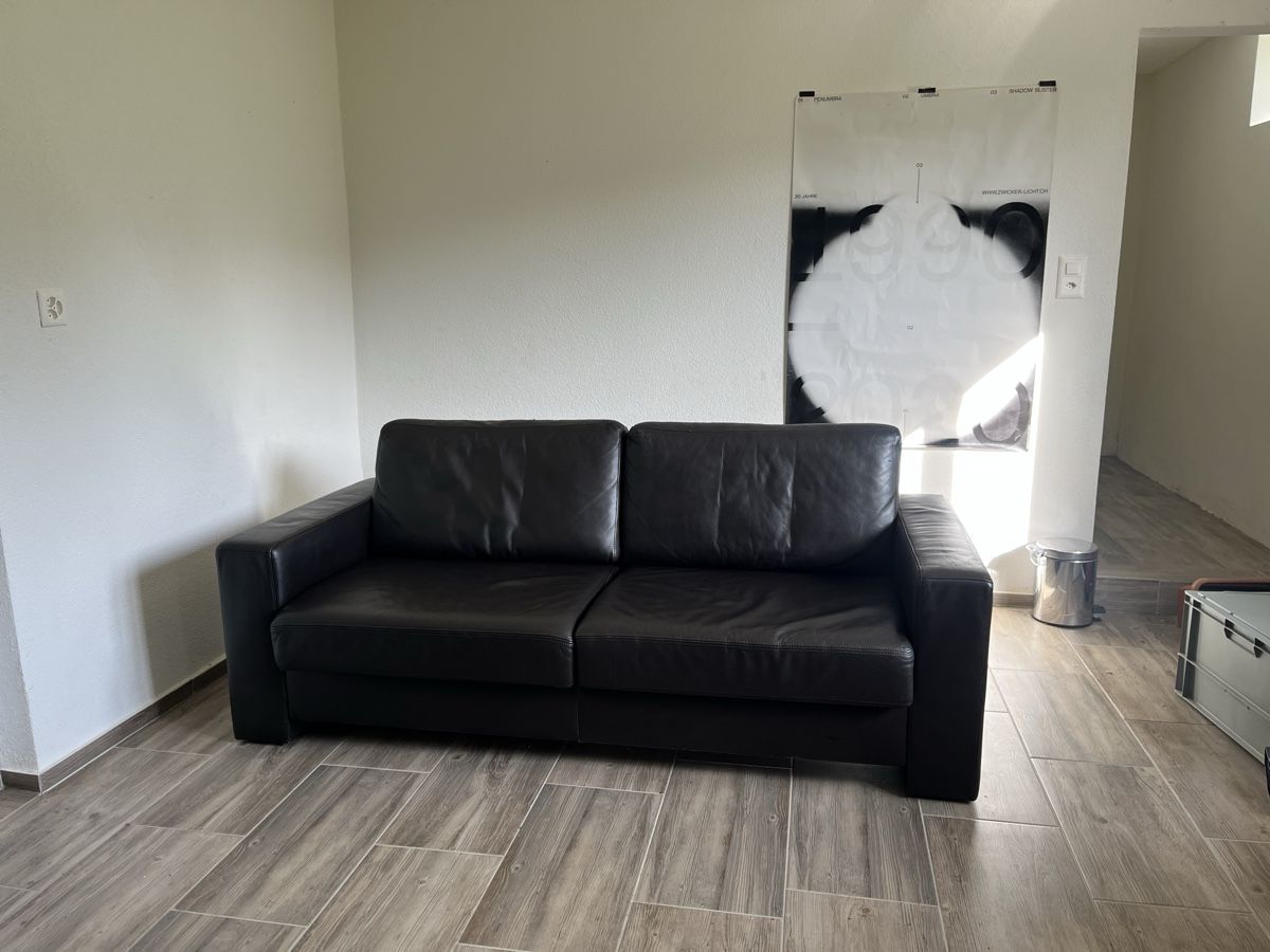 Pfister Divani: Couch von Pfister ab 1.- – Usato da Buchen venduto da homelessbrick