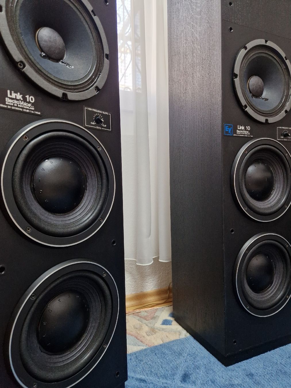 Electro-voice Casse acustiche: Elektro Voice Link 10 – Usato da Arbon venduto da Mayak_Sound 3