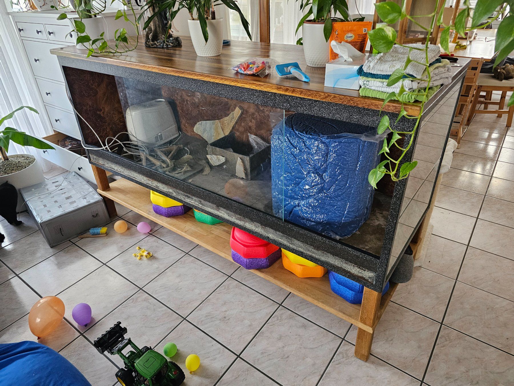 Terrarium: Terrarium – Gebraucht aus Boswil von michaelh01 1