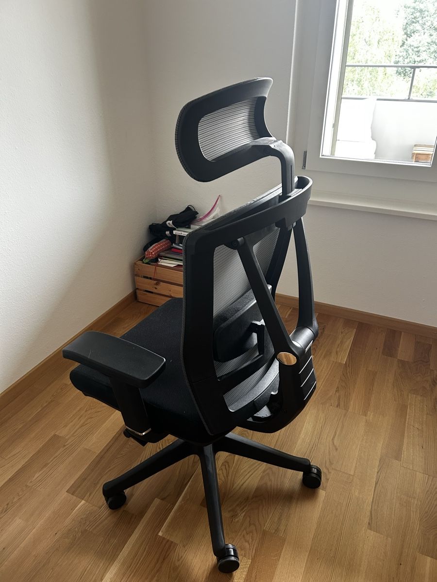 Stühle: ergonomic office chair – Gebraucht aus Zürich von lar_npv8