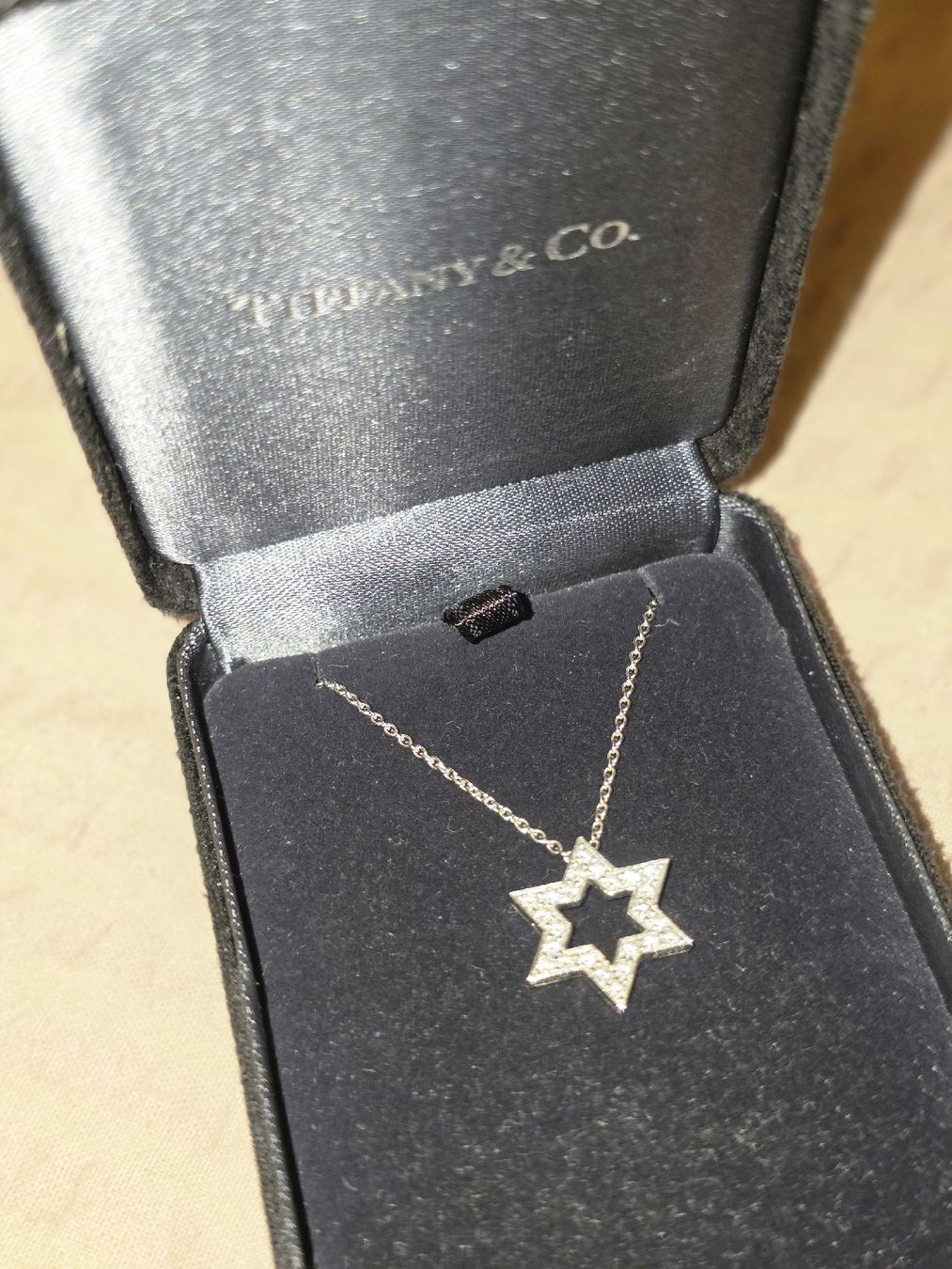 Tiffany & Co. Catenine: Tiffany&co Platin Kette – Usato da Aesch BL venduto da Puga 1