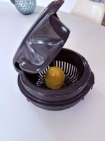 Magimix Zitronen Juicer