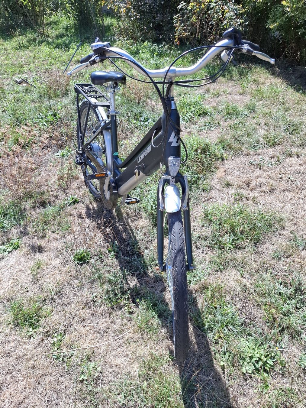 Leopard Biciclette: vélo électrique Léopard railway II – Usato da Bettens venduto da Thejoshuatree 2