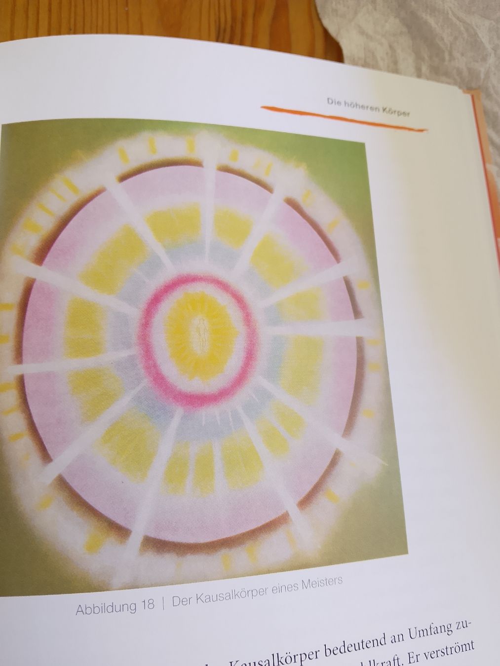 Bücher: Das große illustrierte Aurabuch – Neu (gemäss Beschreibung) aus Volken von katz5 4