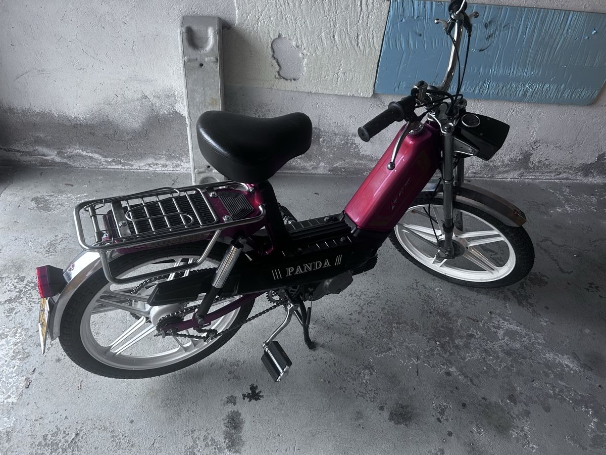 Alpa Ciclomotori: Alpa Panda – Usato da Untersiggenthal venduto da ata_h6rs