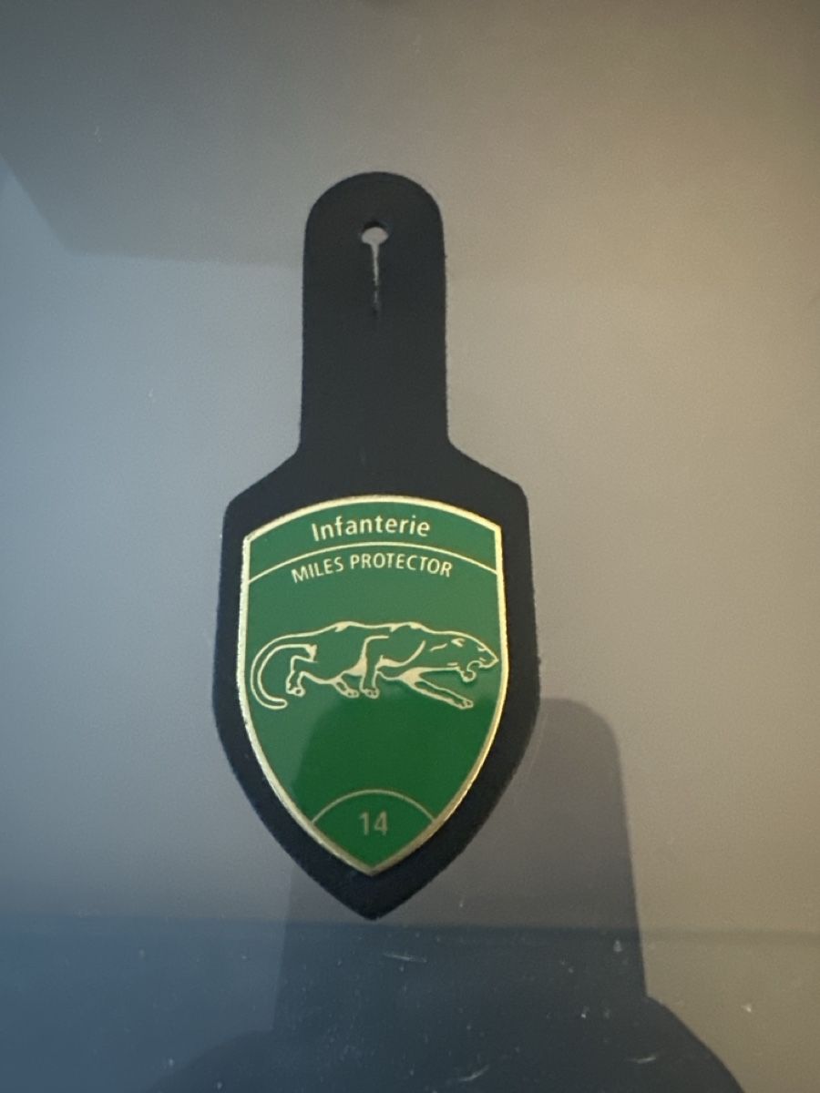 Schweizer Armee Placchette & Badge: 3 - Infanterie 14 – Usato da Morbio Inferiore venduto da Ecod 2
