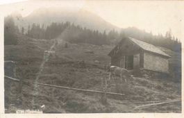 Alp Kurhaus Schönhalden Flums