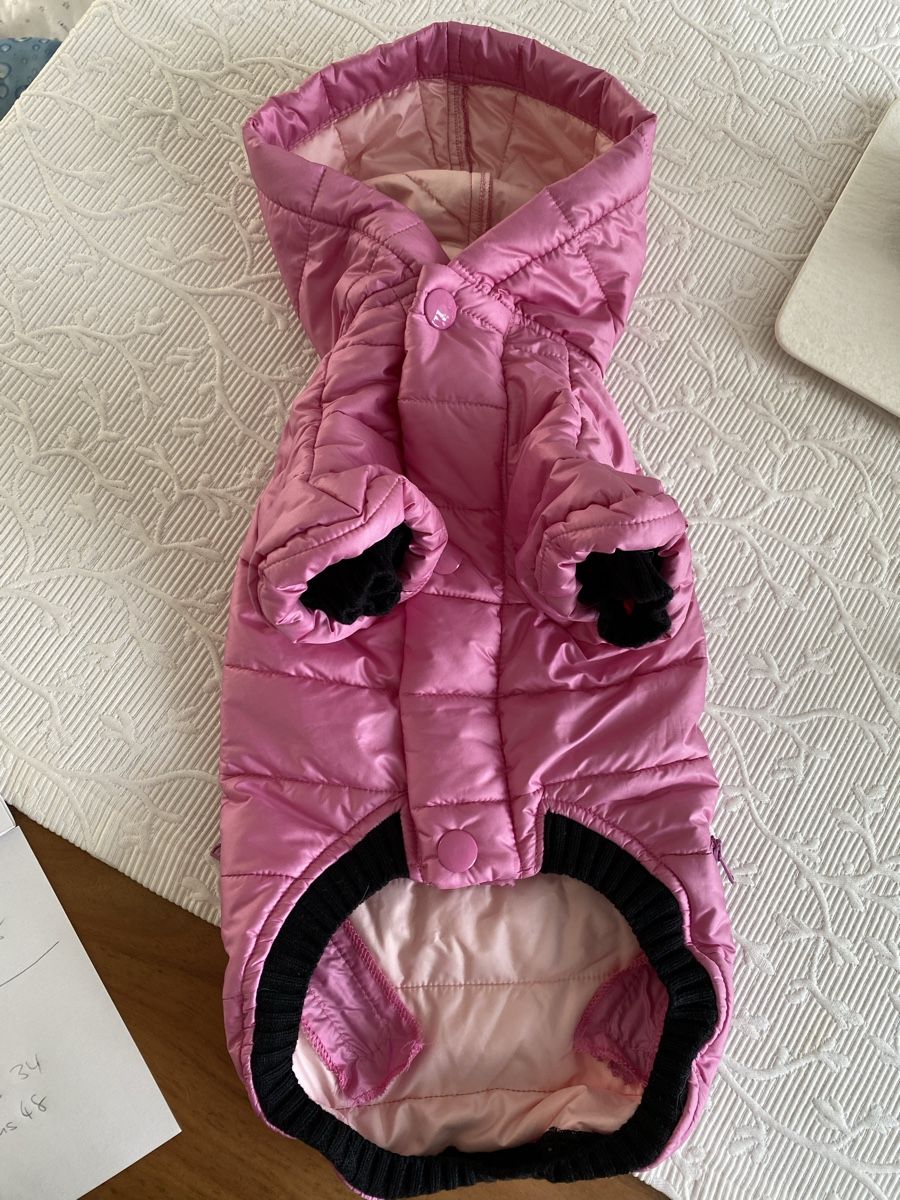 Abbigliamento: Hundejacke Rosa Benetton – Nuovo (secondo la descrizione) da Killwangen venduto da Fefy 1