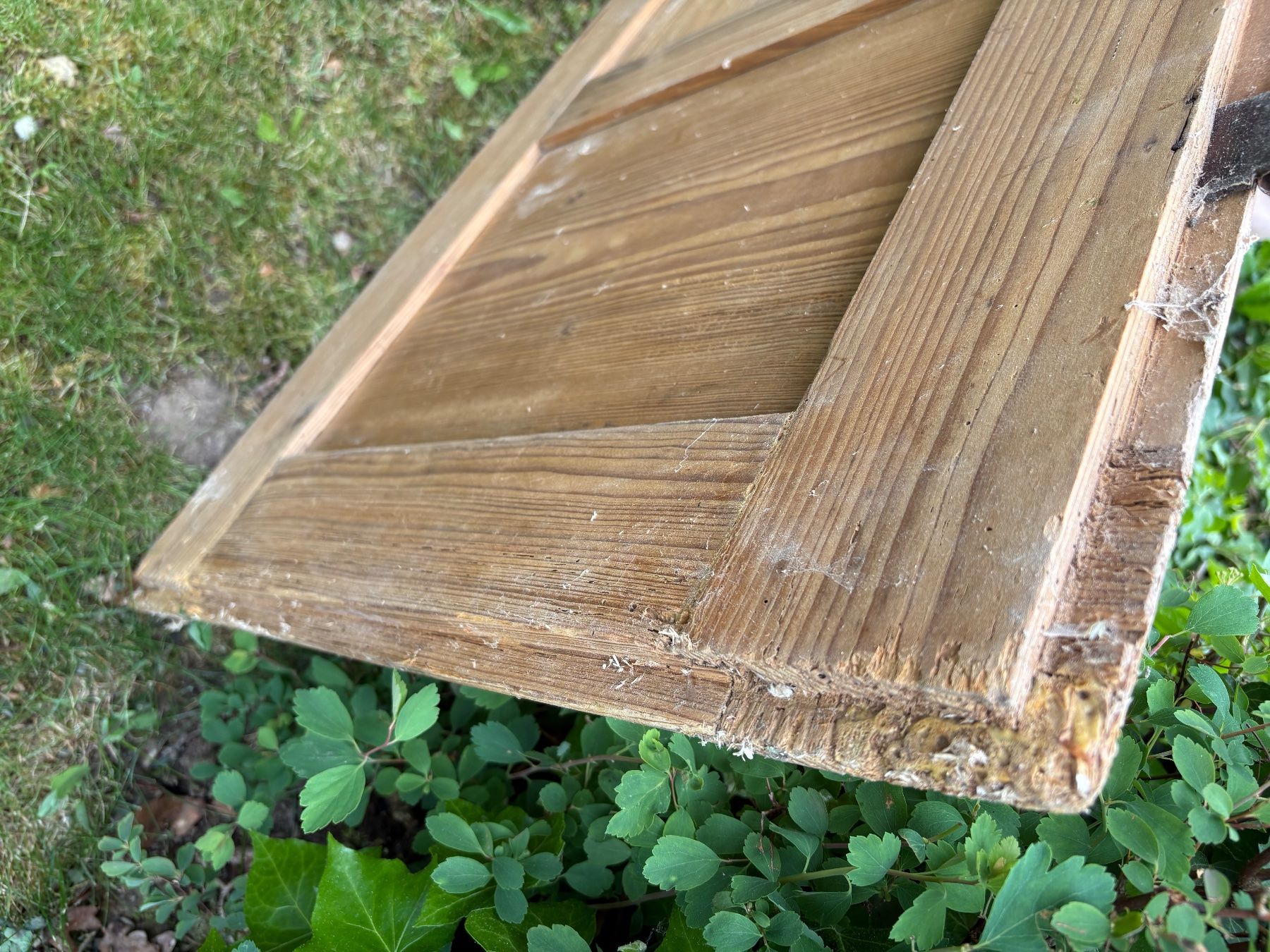 Porte: Antike Schranktüre mit Möbelschild – Usato da Schleinikon venduto da msfwmw2 7