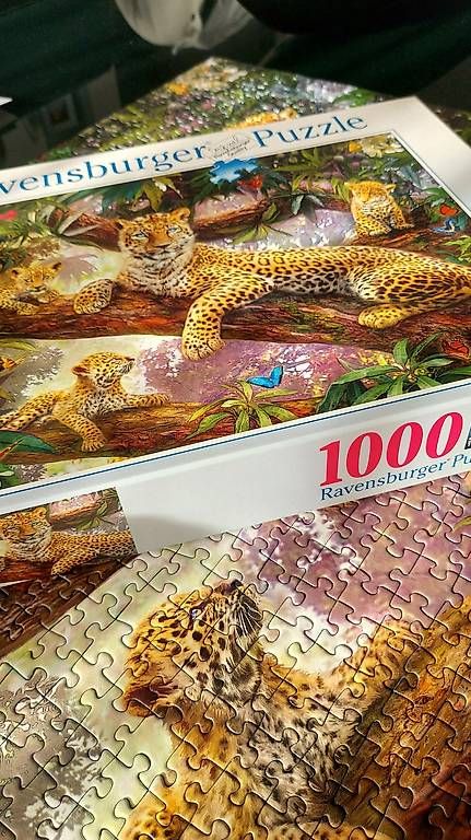 Puzzles: Puzzle – Gebraucht aus Nürensdorf von conceicao74