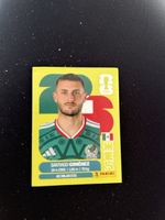 Panini MEX 16