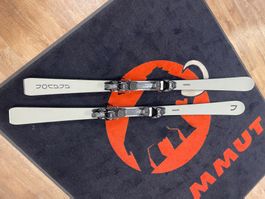 Anavon ARX 172