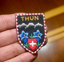 VINTAGE Badge THUN berg ST. GALLER STICK klein
